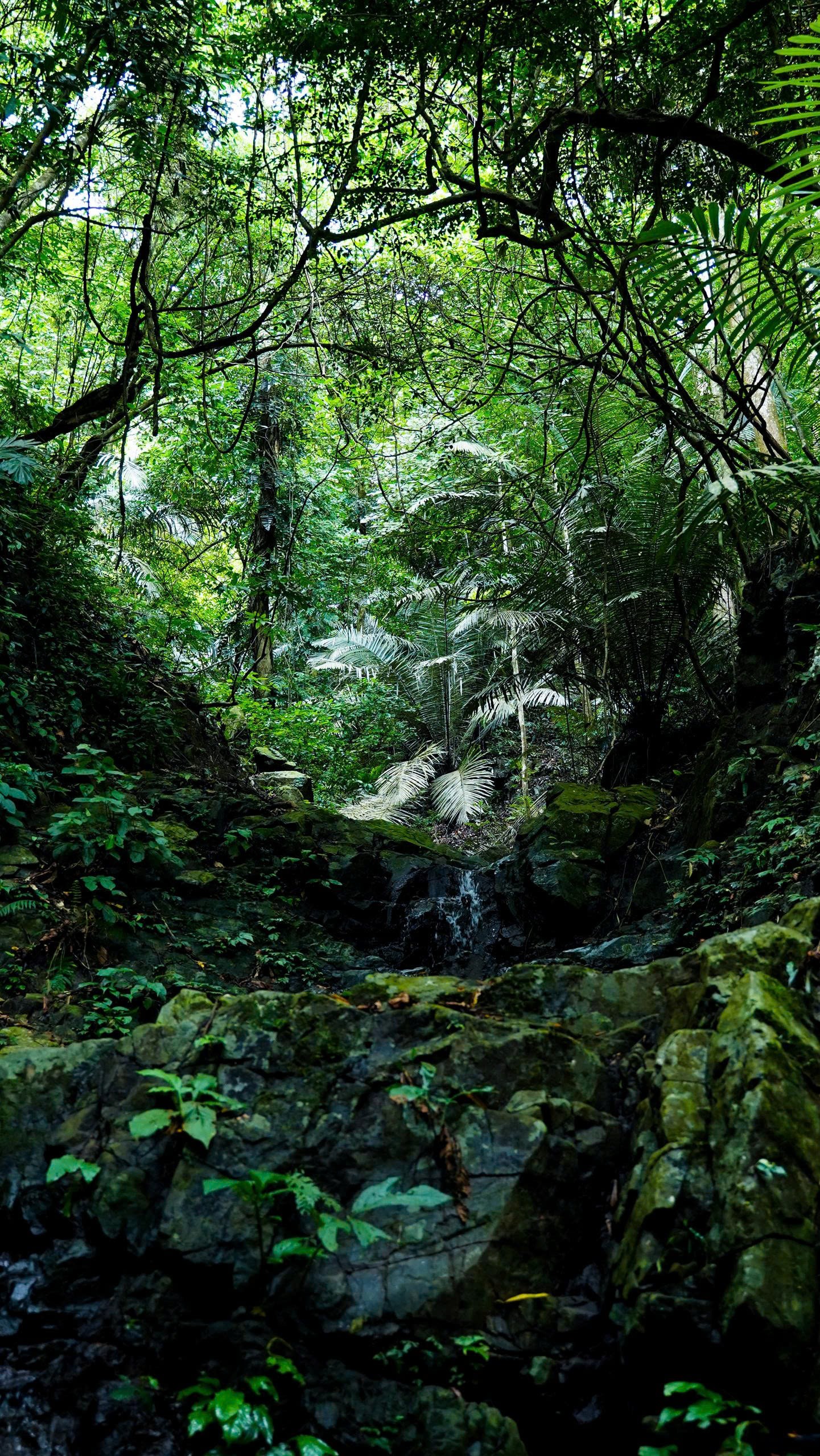 Ngọn thác được ví như "viên ngọc ẩn" giữa đại ngàn Kon Plông - 9