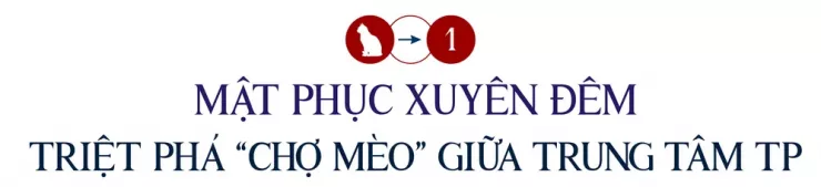 Thâm nhập đường dây 'mèo tặc' - Bài 1: Công an TP.HCM đột kích, lật tẩy đường dây tinh vi - 1