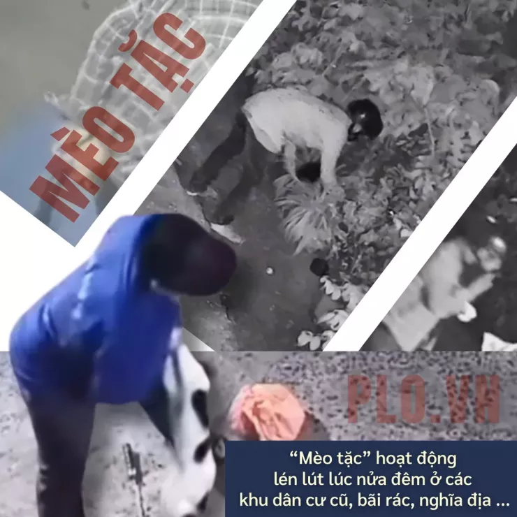 Thâm nhập đường dây 'mèo tặc' - Bài 1: Công an TP.HCM đột kích, lật tẩy đường dây tinh vi - 2