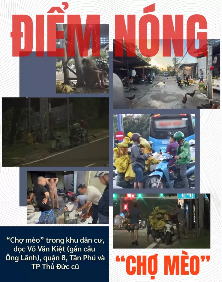 Thâm nhập đường dây 'mèo tặc' - Bài 1: Công an TP.HCM đột kích, lật tẩy đường dây tinh vi - 3