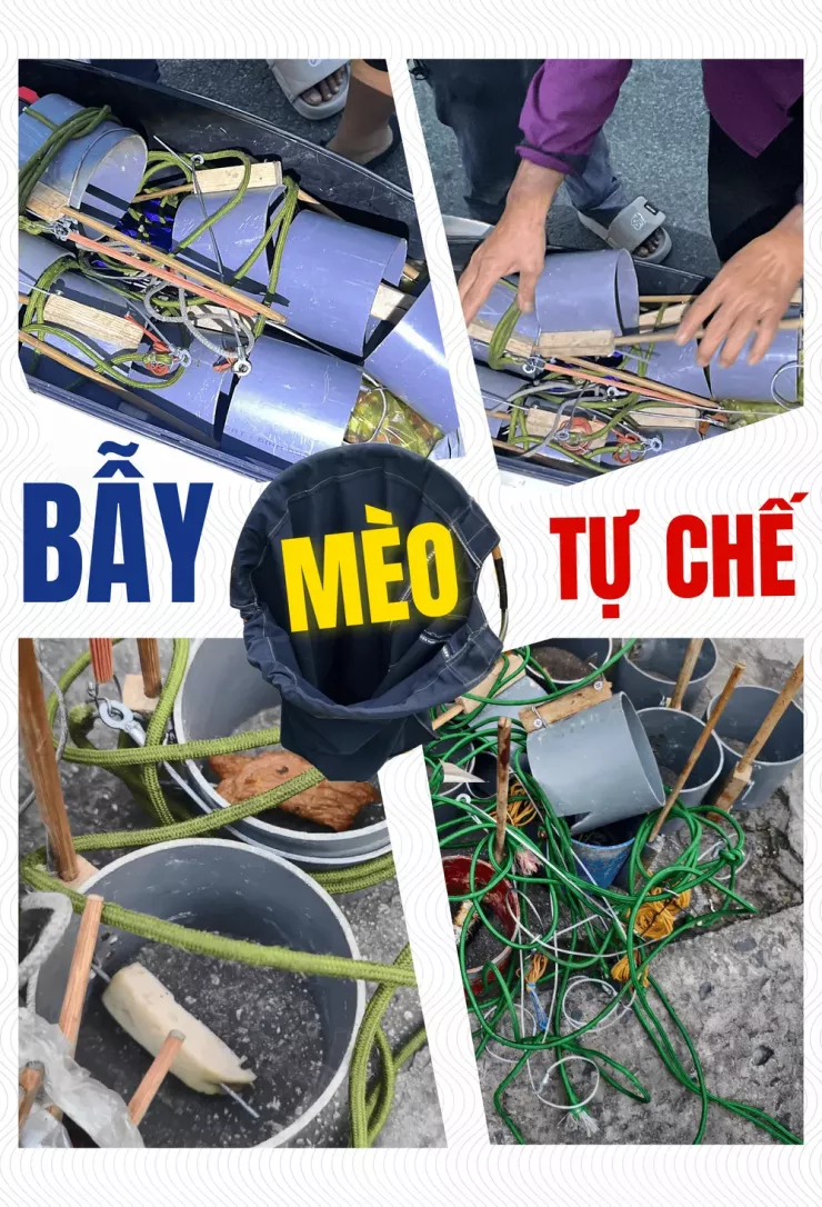 Thâm nhập đường dây 'mèo tặc' - Bài 1: Công an TP.HCM đột kích, lật tẩy đường dây tinh vi - 4