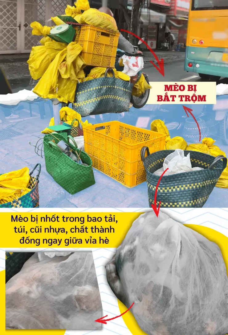 Thâm nhập đường dây 'mèo tặc' - Bài 1: Công an TP.HCM đột kích, lật tẩy đường dây tinh vi - 5