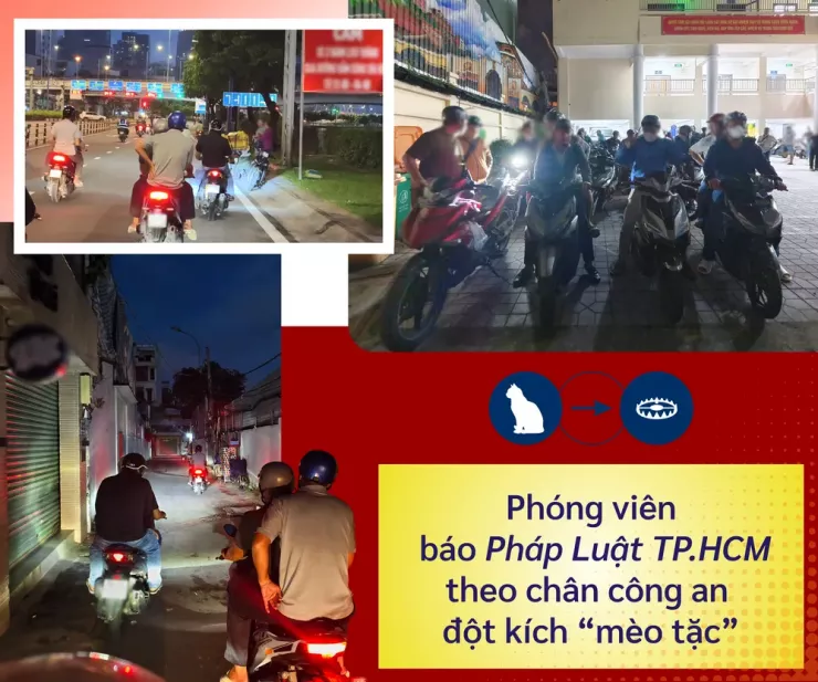 Thâm nhập đường dây 'mèo tặc' - Bài 1: Công an TP.HCM đột kích, lật tẩy đường dây tinh vi - 8