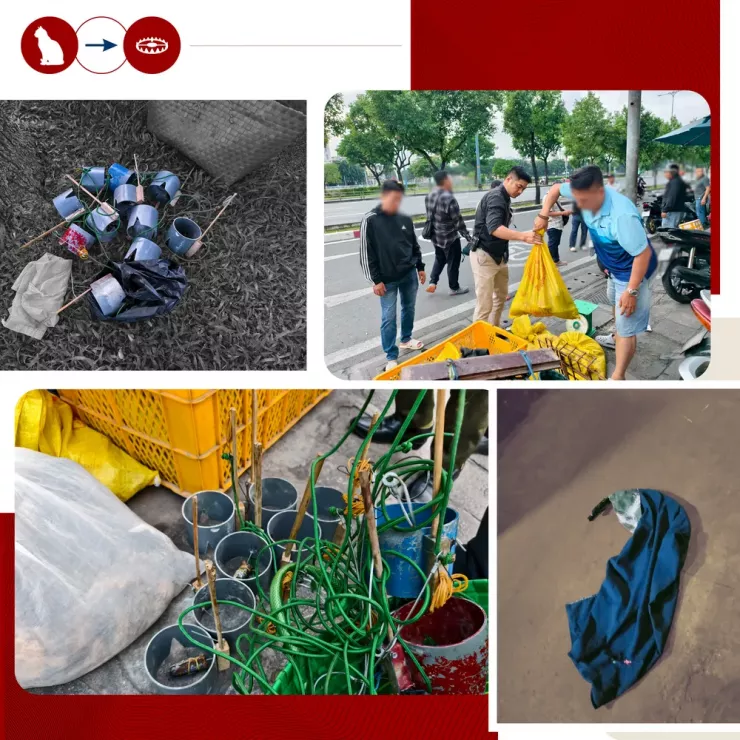 Thâm nhập đường dây 'mèo tặc' - Bài 1: Công an TP.HCM đột kích, lật tẩy đường dây tinh vi - 13