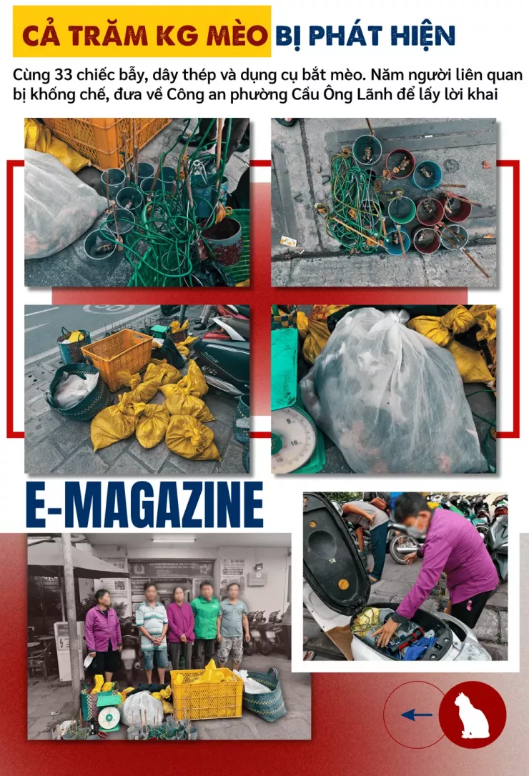 Thâm nhập đường dây 'mèo tặc' - Bài 1: Công an TP.HCM đột kích, lật tẩy đường dây tinh vi - 10