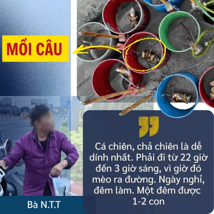 Thâm nhập đường dây 'mèo tặc' - Bài 1: Công an TP.HCM đột kích, lật tẩy đường dây tinh vi - 14