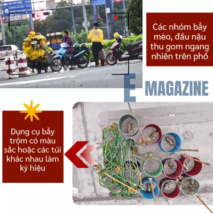 Thâm nhập đường dây 'mèo tặc' - Bài 1: Công an TP.HCM đột kích, lật tẩy đường dây tinh vi - 16