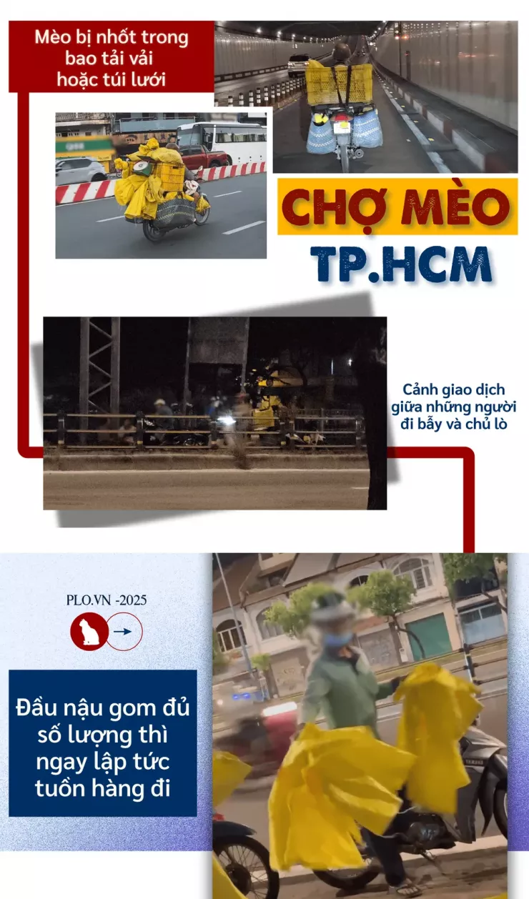 Thâm nhập đường dây 'mèo tặc' - Bài 1: Công an TP.HCM đột kích, lật tẩy đường dây tinh vi - 17