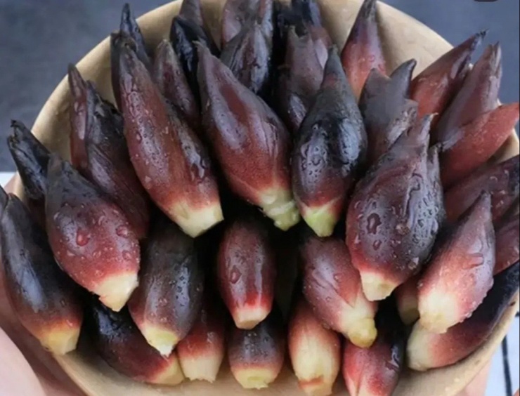 Chồi Myoga – một loại gừng kiểu Nhật.