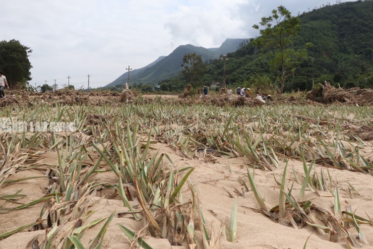 Nhiều người khóc cạn nước mắt bên dòng Vu Gia - 1