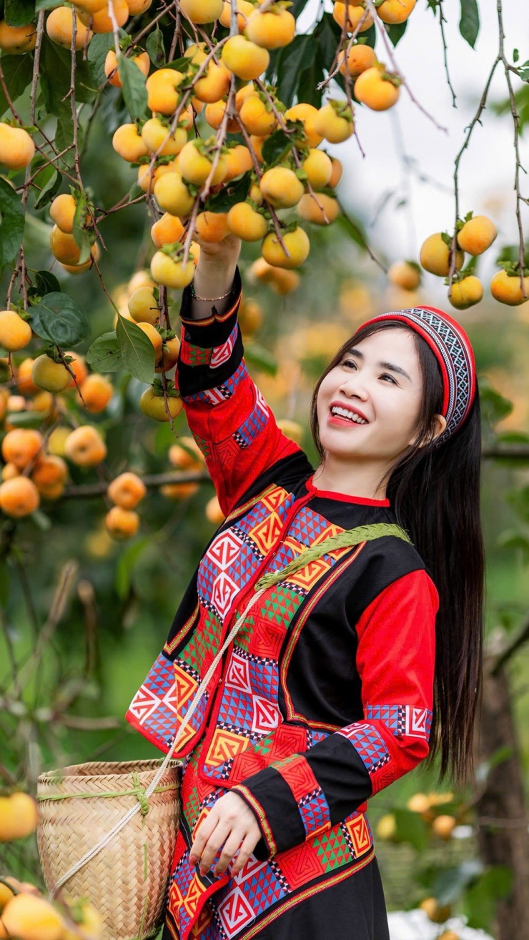 Mộc Châu mùa hồng chín, ai đến cũng ngẩn ngơ - 10