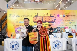 Nhịp sống trẻ - Cuộc thi Hoa hậu mèo quốc tế WCF 2025: cảm ơn bạn đã nâng tầm WCF International Jubilee cat show 2025