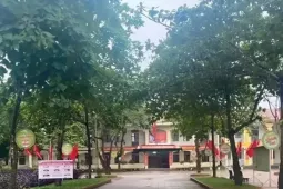 Nữ sinh nhập viện vì bị bạn nam cùng lớp đánh liên tiếp vào đầu