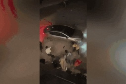 Tin tức trong ngày - Xôn xao clip nhóm người vây đập ô tô, tài xế cho xe tiến lùi 'điên loạn'