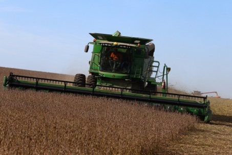 Đậu nành Mỹ và cuộc chiến chưa có hồi kết với Trung Quốc