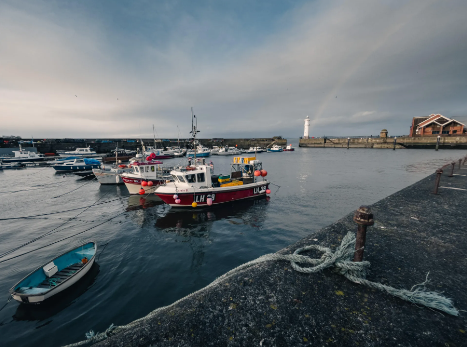 Ảnh chụp bởi iPhone 17 Pro.