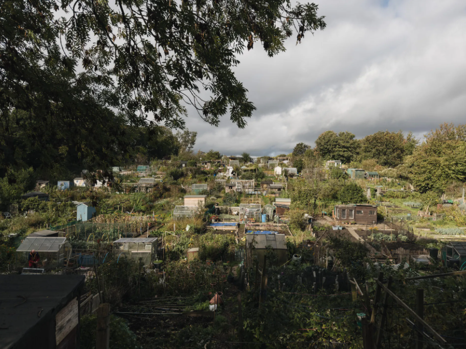 Ảnh chụp bởi iPhone 17 Pro.