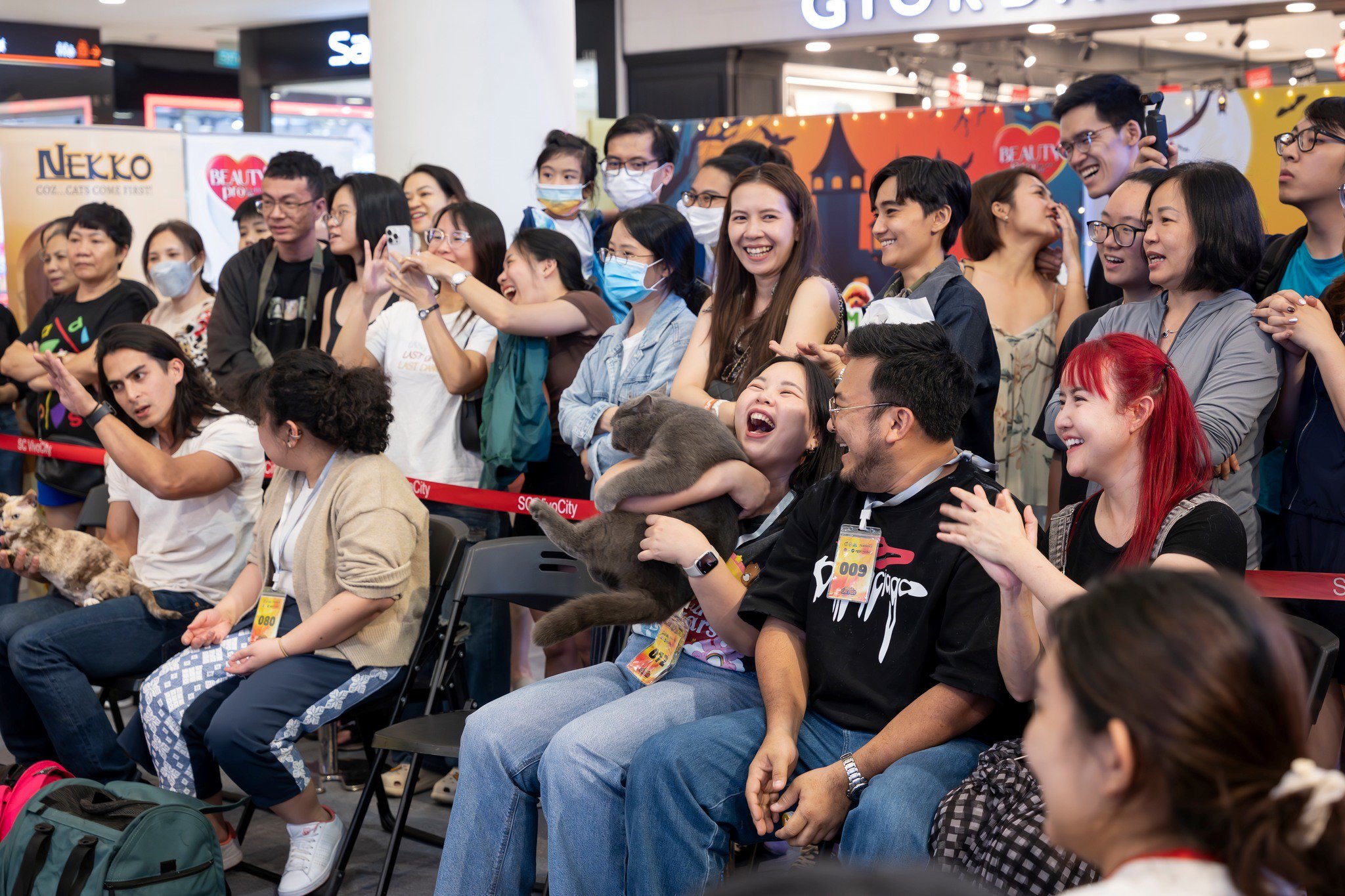 Cuộc thi Hoa hậu mèo quốc tế WCF 2025: cảm ơn bạn đã nâng tầm WCF International Jubilee cat show 2025 - 5