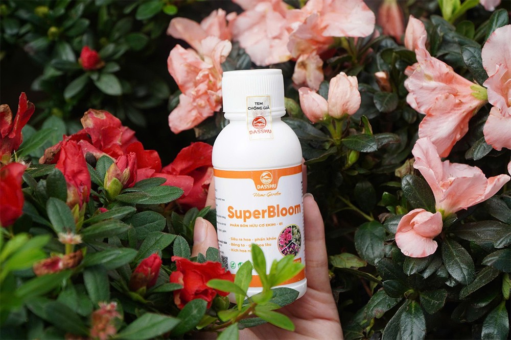 Dasshu ra mắt bộ sản phẩm phân bón đô thị Dasshu Garden - 4