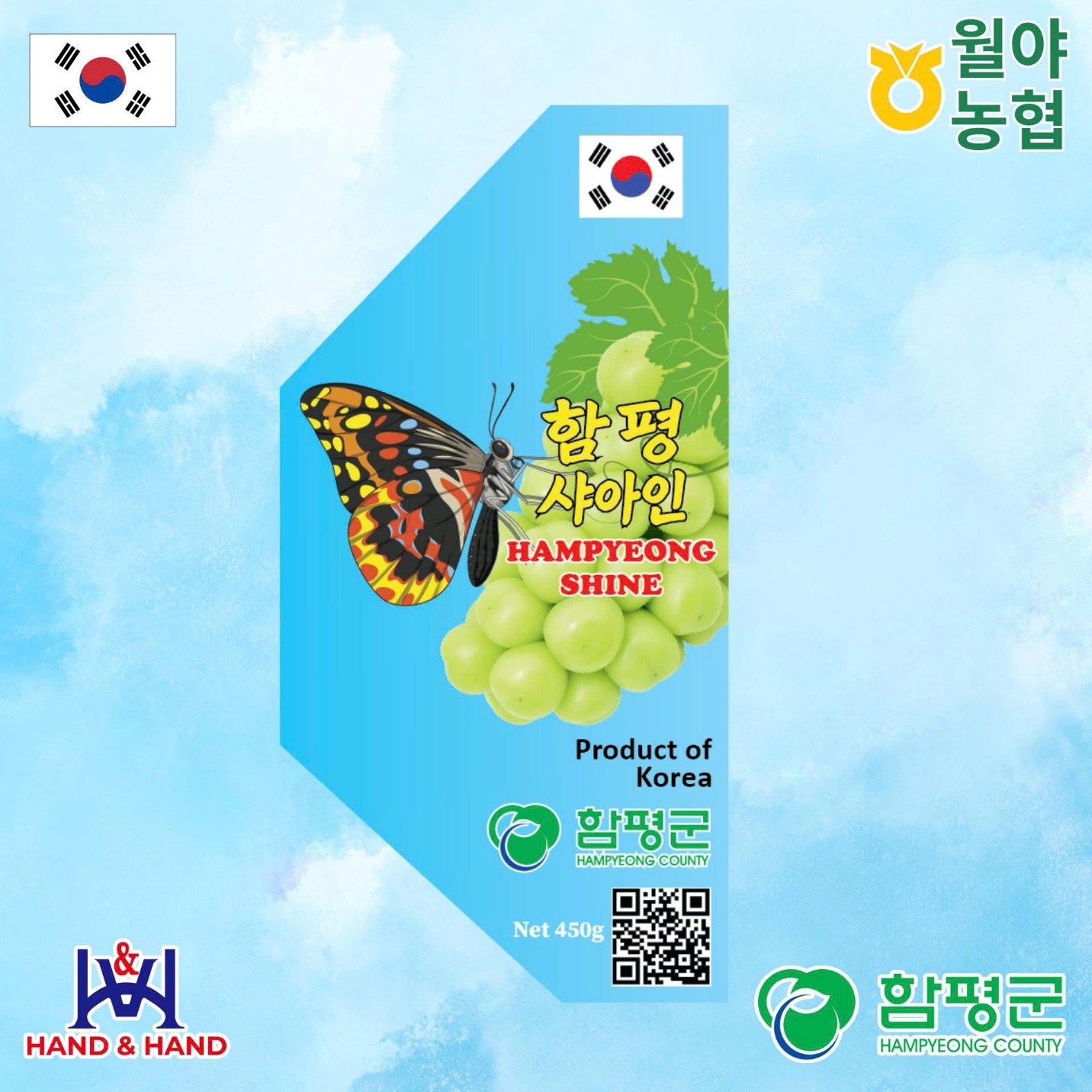 Nho mẫu đơn Hampyeong – Hương vị ngọt thanh từ vùng biển và gió Hàn Quốc - 2