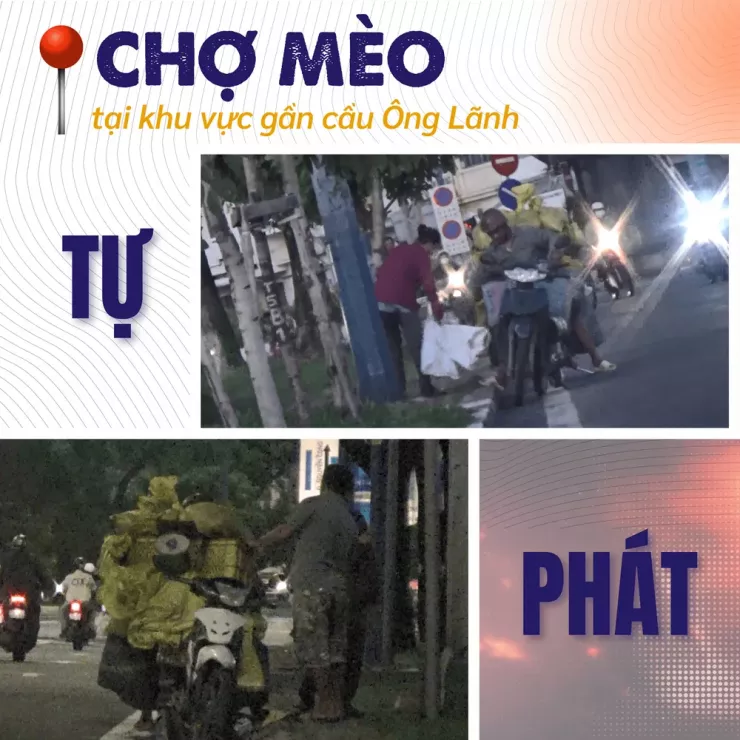 Thâm nhập đường dây 'mèo tặc' - Bài 2: Theo dấu những phi vụ mua - bán khó tin - 2