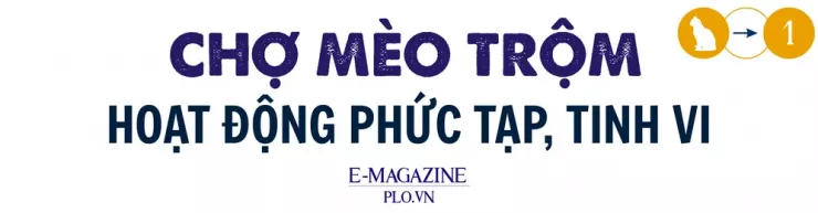 Thâm nhập đường dây 'mèo tặc' - Bài 2: Theo dấu những phi vụ mua - bán khó tin - 1