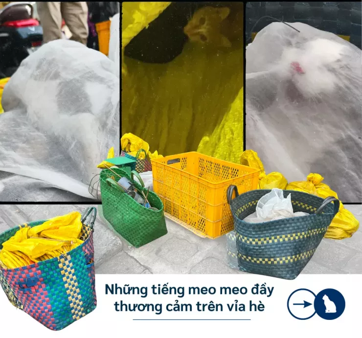 Thâm nhập đường dây 'mèo tặc' - Bài 2: Theo dấu những phi vụ mua - bán khó tin - 5