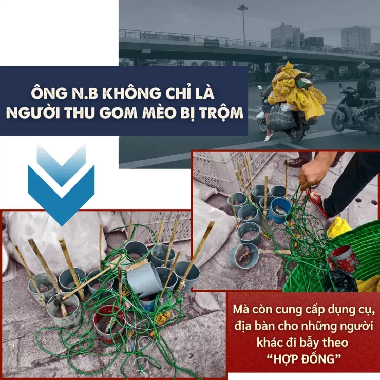 Thâm nhập đường dây 'mèo tặc' - Bài 2: Theo dấu những phi vụ mua - bán khó tin - 11
