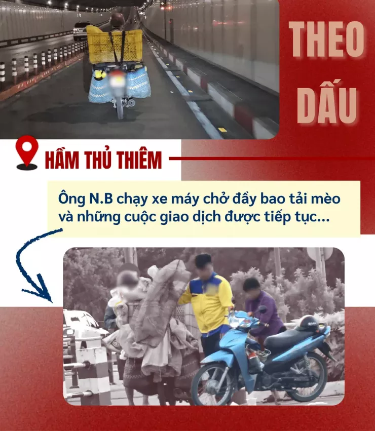 Thâm nhập đường dây 'mèo tặc' - Bài 2: Theo dấu những phi vụ mua - bán khó tin - 9