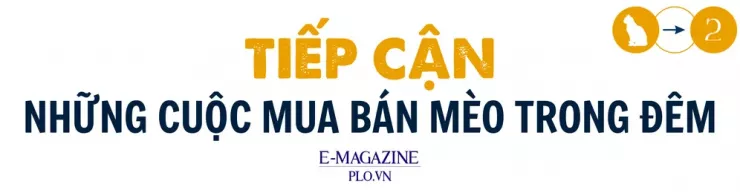 Thâm nhập đường dây 'mèo tặc' - Bài 2: Theo dấu những phi vụ mua - bán khó tin - 8