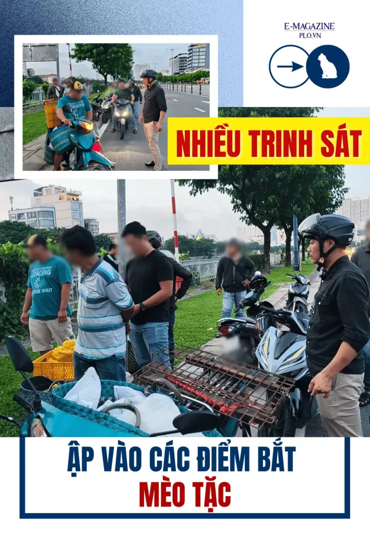 Thâm nhập đường dây 'mèo tặc' - Bài 2: Theo dấu những phi vụ mua - bán khó tin - 15