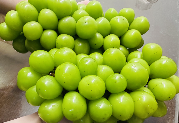 Nhiều nơi rao bán nho sữa Trung Quốc với giá chỉ 30.000-35.000 đồng/kg. Ảnh: TA