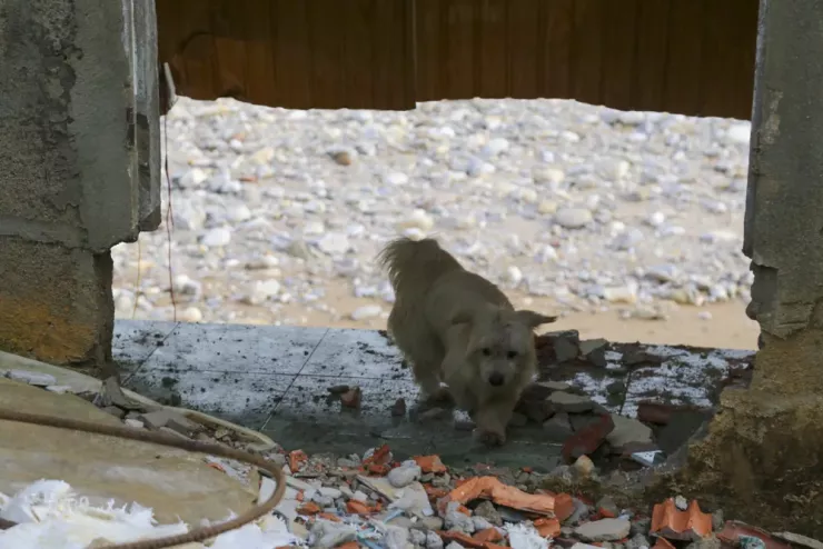 Lũ dữ như sóng thần ập về, cuốn phăng nhà cửa trong chốc lát - 8