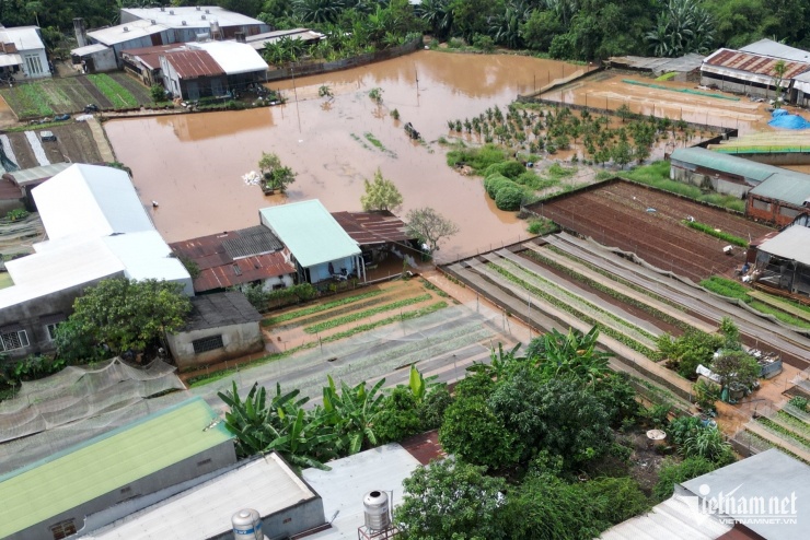 Nhiều khu dân cư ngập nặng, người dân phải lội bì bõm trong vùng nước ngập.