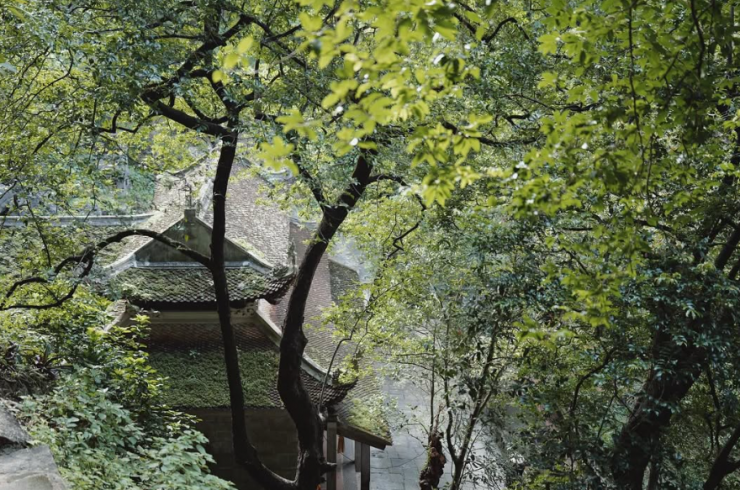 Bức ảnh mới nhất trên trang cá nhân của anh.