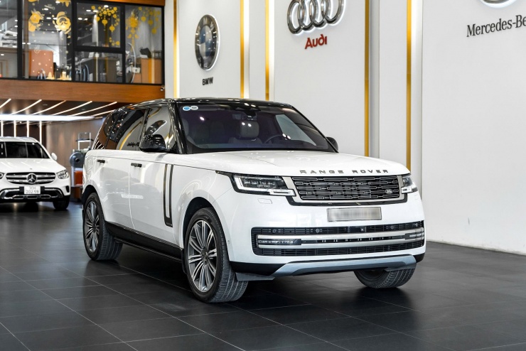 Đi xe sang Range Rover giá 12 tỷ, chủ xe chi thêm 4,1 tỷ tậu biển ngũ quý 8 - 6