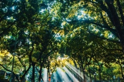 Thời tiết miền Bắc những ngày tới