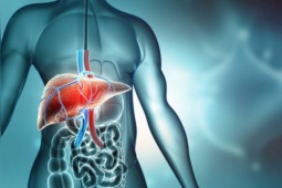 Làm thế nào để lá gan quý hơn vàng tránh xa ung thư?