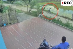 Xe máy - Xe đạp - Clip: Hai chị em đi xe đạp mất lái lao thẳng xuống ruộng khiến ai cũng thót tim