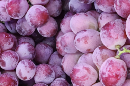 Nho Trung Quốc la liệt chợ Việt, giá rẻ hơn cả mớ rau