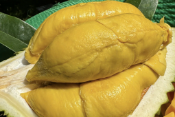 Trung Quốc vẫn tăng mua rau quả Việt