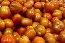 Giá cà chua chạm mốc 60.000 đồng/kg, nhiều bà nội trợ 'giật mình' khi đi chợ