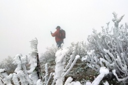 Không khí lạnh mạnh: Miền Bắc có thể xuất hiện sương muối, Trung Bộ mưa lớn