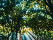 Thời tiết miền Bắc những ngày tới