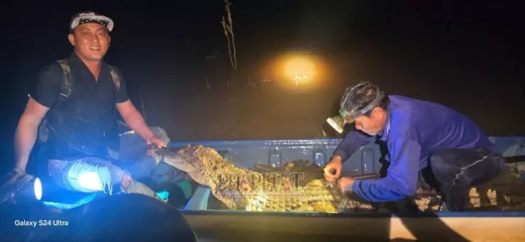 Anh Nguyễn Văn Chuyển đã bắt được con cá sấu nặng 37kg trên Sông Cái Cỏ. Ảnh: BP