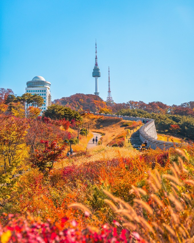 Mùa lá đổi màu ở khu vực công viên Namsan, Seoul, Hàn Quốc