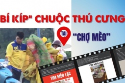 Thâm nhập đường dây 'mèo tặc' - Bài 3: Giáp mặt kẻ trộm, nghe cách ra giá chuộc mèo