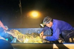 Tây Ninh: Người dân kéo được cá sấu 37kg trên sông