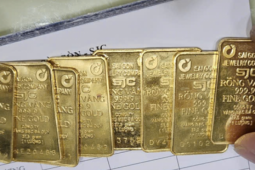 Sáng 13-11, giá vàng miếng SJC, vàng nhẫn tăng rất mạnh