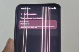 Người dùng Galaxy S21 FE bỗng dưng bị sọc màn hình sau khi "lên đời" One UI 8